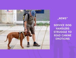 News-Service Dog Handlers Struggle to Read Canine Emotions