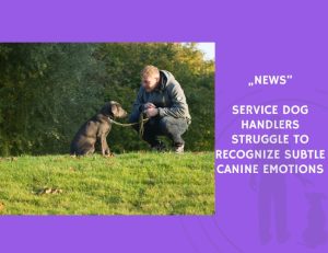 News-Service Dog Handlers Struggle to Recognize Subtle Canine Emotions