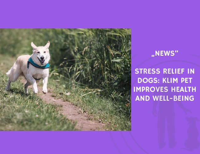 News-Stress Relief in Dogs Klim Pet Improves Health and Well-Being