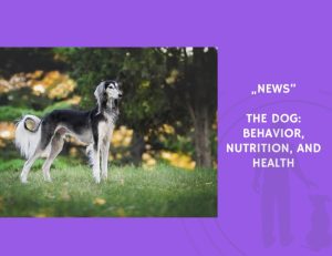 News-The Dog Behavior, Nutrition, and Health