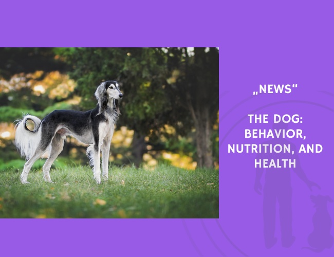 News-The Dog Behavior, Nutrition, and Health
