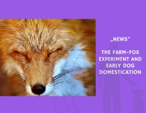 News-The Farm-Fox Experiment and Early Dog Domestication