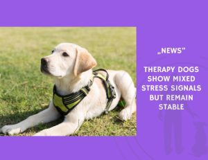 News-Therapy Dogs Show Mixed Stress Signals but Remain Stable