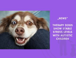 News-Therapy Dogs Show Stable Stress Levels with Autistic Children
