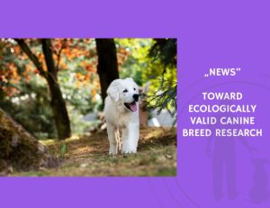 News-Toward Ecologically Valid Canine Breed Research