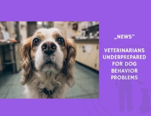 News-Veterinarians Underprepared for Dog Behavior Problems