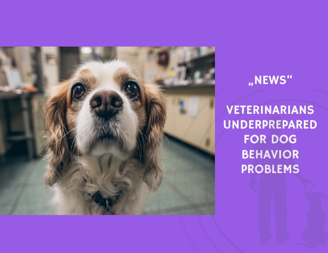 News-Veterinarians Underprepared for Dog Behavior Problems