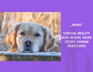 News-Virtual Reality Dog Model Helps Study Human Reactions