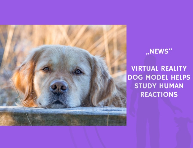 News-Virtual Reality Dog Model Helps Study Human Reactions