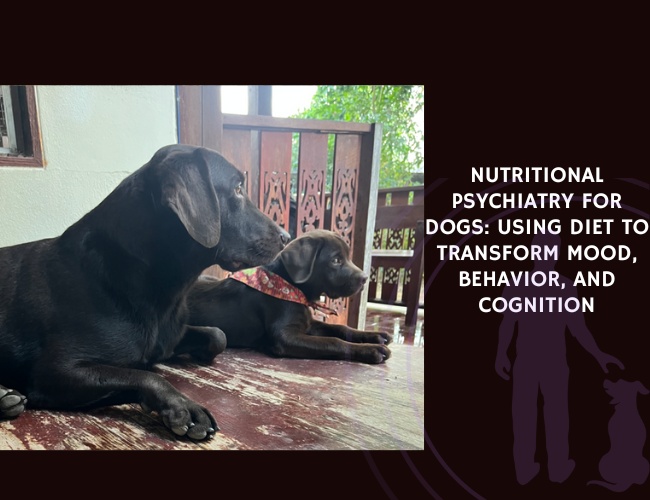 Nutritional Psychiatry for Dogs Using Diet to Transform Mood, Behavior, and Cognition