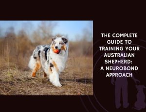 The Complete Guide to Training Your Australian Shepherd A NeuroBond Approach