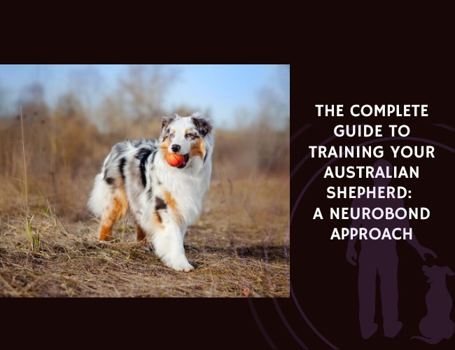The Complete Guide to Training Your Australian Shepherd A NeuroBond Approach