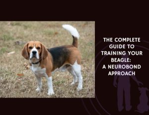 The Complete Guide to Training Your Beagle A NeuroBond Approach