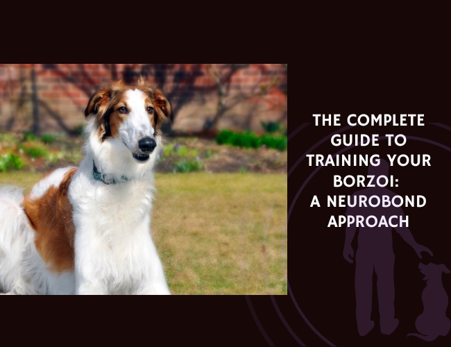 The Complete Guide to Training Your Borzoi A NeuroBond Approach