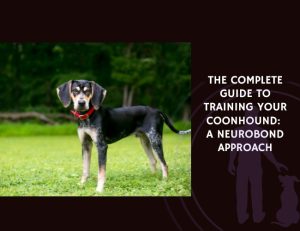 The Complete Guide to Training Your Coonhound A NeuroBond Approach
