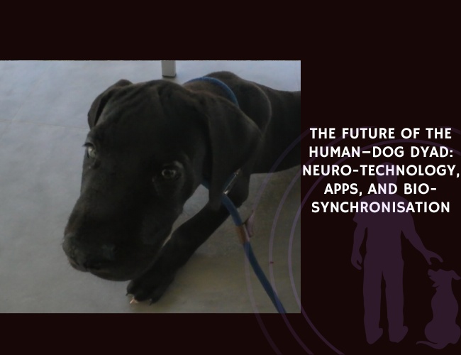 The Future of the Human–Dog Dyad Neuro-Technology, Apps, and Bio-Synchronisation