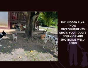 The Hidden Link How Micronutrients Shape Your Dog's Behavior and Emotional Well-being