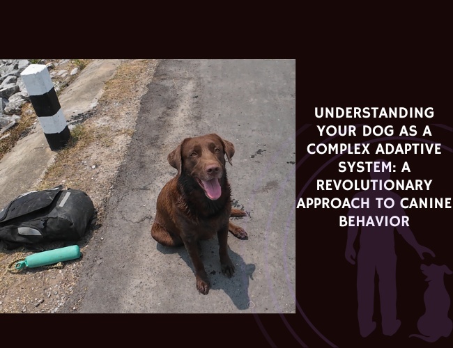Understanding Your Dog as a Complex Adaptive System A Revolutionary Approach to Canine Behavior