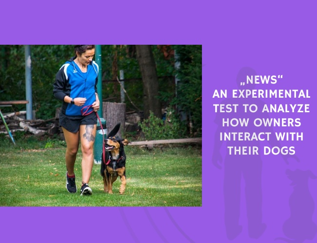 An Experimental Test to Analyze How Owners Interact with Their Dogs