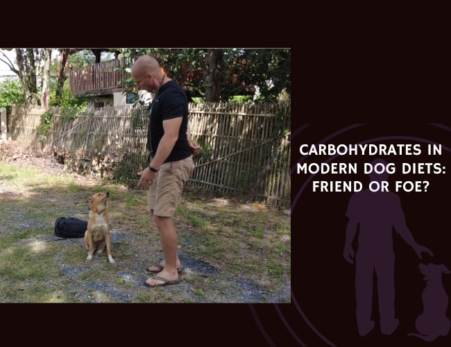 Carbohydrates in Modern Dog Diets Friend or Foe