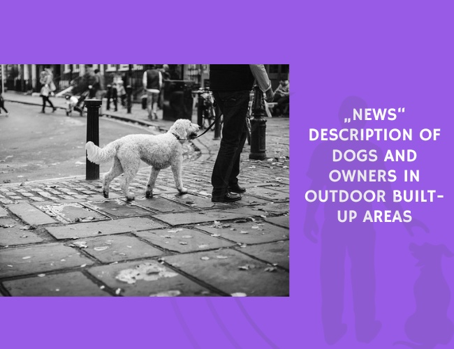 Description of Dogs and Owners in Outdoor Built-Up Areas