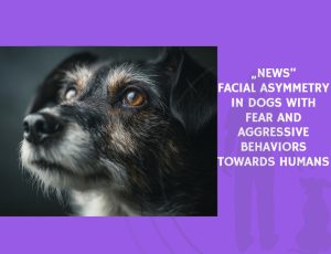 Facial Asymmetry in Dogs with Fear and Aggressive Behaviors Towards Humans