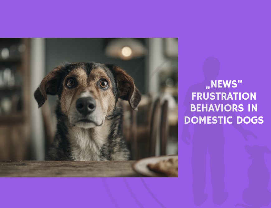 Frustration Behaviors in Domestic Dogs
