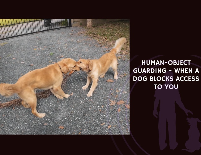 Human-Object Guarding - When a Dog Blocks Access to You