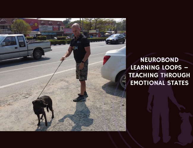 NeuroBond Learning Loops – Teaching Through Emotional States
