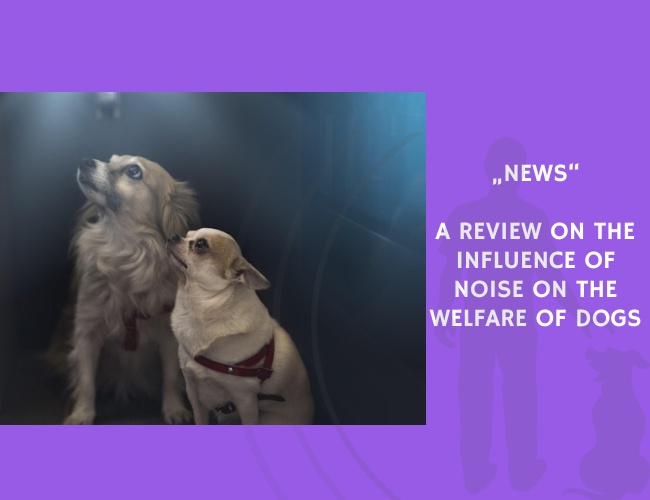 News-A Review on the Influence of Noise on the Welfare of Dogs