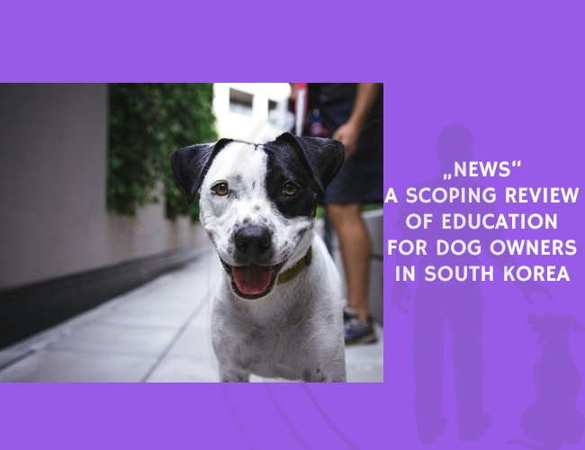 News-A Scoping Review of Education for Dog Owners in South Korea