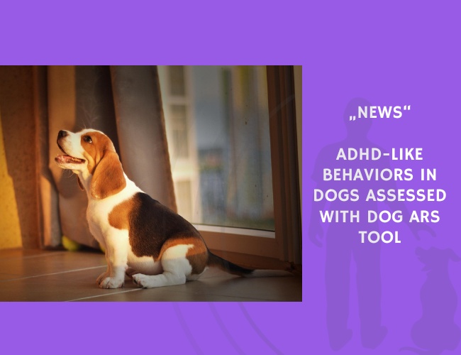 News-ADHD-Like Behaviors in Dogs Assessed with Dog ARS Tool