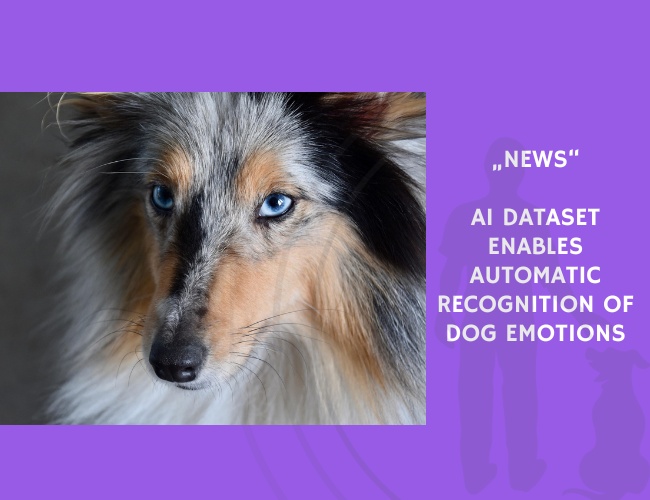 News-AI Dataset Enables Automatic Recognition of Dog Emotions