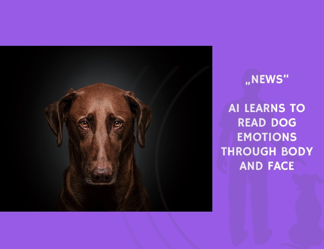 News-AI Learns to Read Dog Emotions Through Body and Face