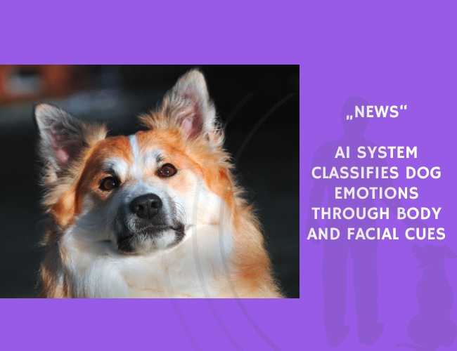 News-AI System Classifies Dog Emotions Through Body and Facial Cues