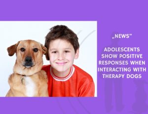 News-Adolescents Show Positive Responses When Interacting with Therapy Dogs