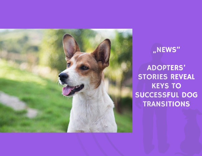 News-Adopters’ Stories Reveal Keys to Successful Dog Transitions