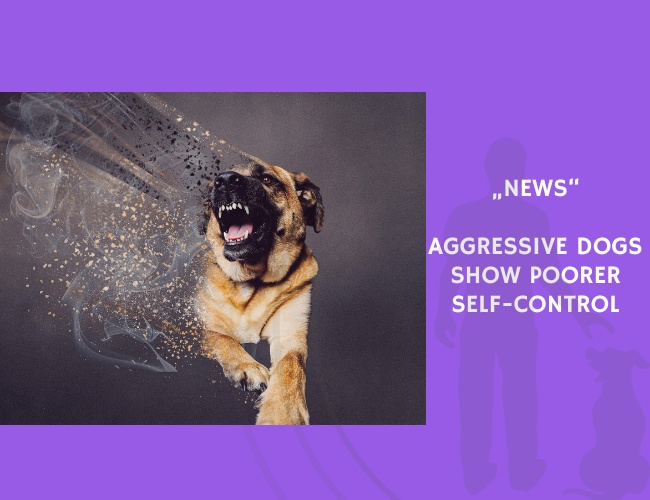 News-Aggressive Dogs Show Poorer Self-Control
