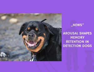 News-Arousal Shapes Memory Retention in Detection Dogs
