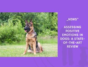 News-Assessing Positive Emotions in Dogs A State-of-the-Art Review