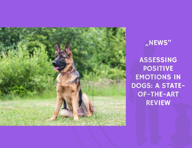 News-Assessing Positive Emotions in Dogs A State-of-the-Art Review