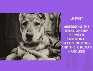 News-Assessing the Relationship Between Emotional States of Dogs and Their Human Handlers