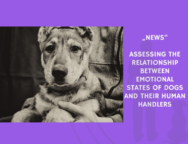 News-Assessing the Relationship Between Emotional States of Dogs and Their Human Handlers