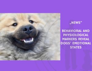News-Behavioral and Physiological Markers Reveal Dogs’ Emotional States