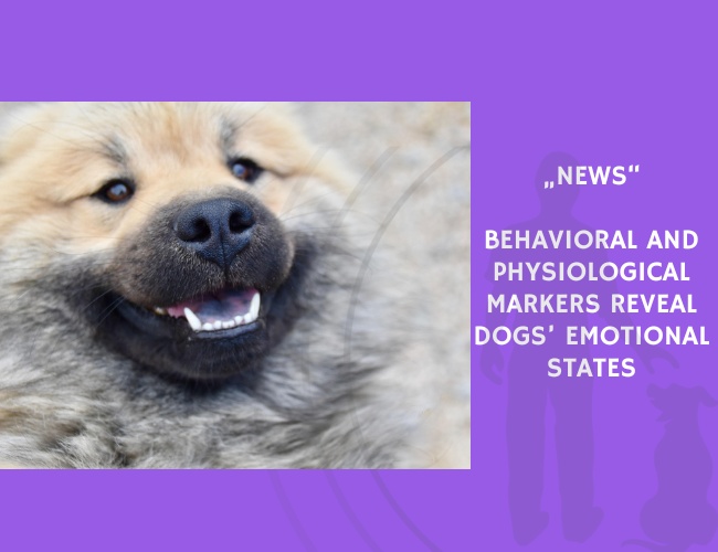 News-Behavioral and Physiological Markers Reveal Dogs’ Emotional States
