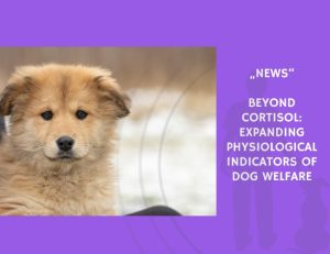 News-Beyond Cortisol Expanding Physiological Indicators of Dog Welfare