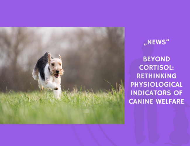 News-Beyond Cortisol Rethinking Physiological Indicators of Canine Welfare