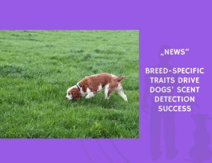News-Breed-Specific Traits Drive Dogs’ Scent Detection Success