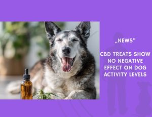 News-CBD Treats Show No Negative Effect on Dog Activity Levels