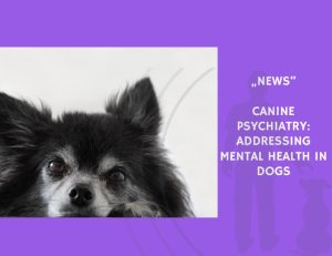 News-Canine Psychiatry Addressing Mental Health in Dogs